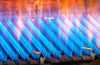 Berrow Green gas fired boilers